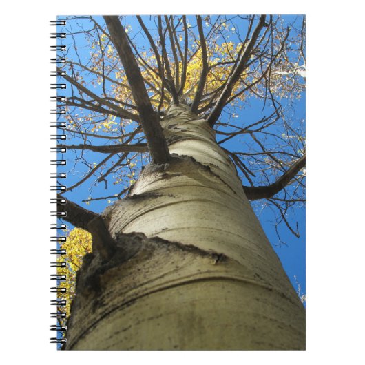 Tall Quaking Aspen Tree Notitieboek (Voorkant)