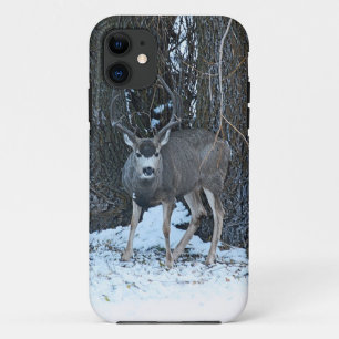 Tall rack Buck iPhone 11 Hoesje