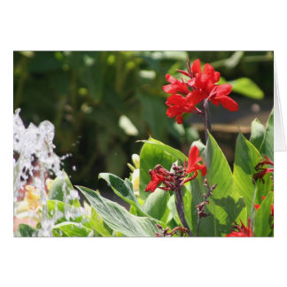 Tall Red Flower