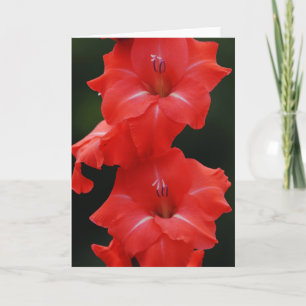 Tall Red Flowers Art Note Kaart
