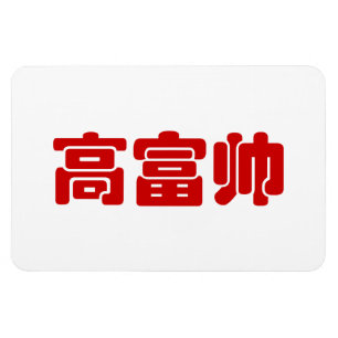 Tall, Rich & Handsome 高 富 Chinese Hanzi MEME Magneet