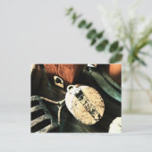  Tall Ship Pulleys Briefkaart (Staand voorkant)