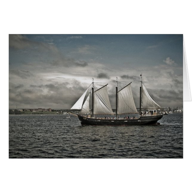 Tall Ship Silva Halifax (Voorkant Horizontaal)