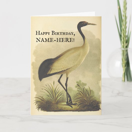 Tall Standing Bird,  look Birthday Kaart (Voorkant)