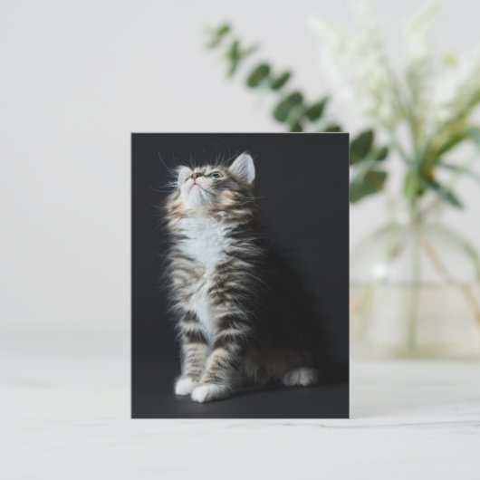 Tall Tabby Briefkaart (Staand voorkant)