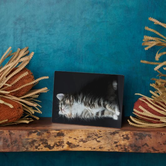Tall Tabby Fotoplaat (Zijkant)