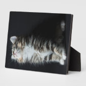 Tall Tabby Fotoplaat (Zijkant)