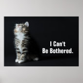 Tall Tabby Poster (Voorkant)