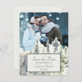 Tall Timber Waterverf Trees Foto Opslaan van de Da Kaart (Voorkant / Achterkant)