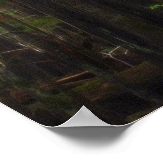 TALL TREE in Forest Art Poster (Hoek)