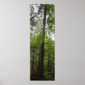 TALL TREE in Forest Art Poster (Voorkant)