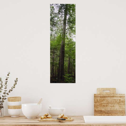 TALL TREE in Forest Art Poster (Keuken)