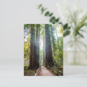 Tall Trees Briefkaart (Staand voorkant)