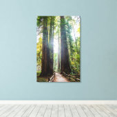 Tall Trees Canvas Afdruk (Insitu (Houten vloer))