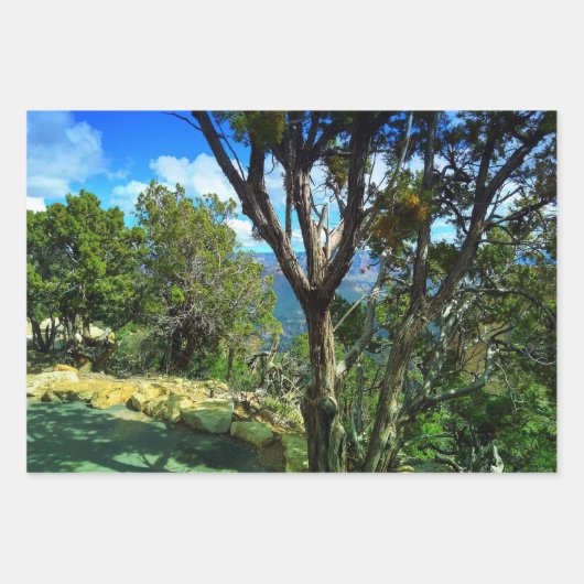 Tall Trees Decorative Decoupage High Quality Triad Inpakpapier Vel (Voorkant 2)