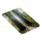 Tall Trees Magneet (Rechterzijde)