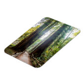 Tall Trees Magneet (Linkerzijde)