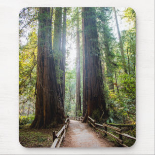 Tall Trees Muismat