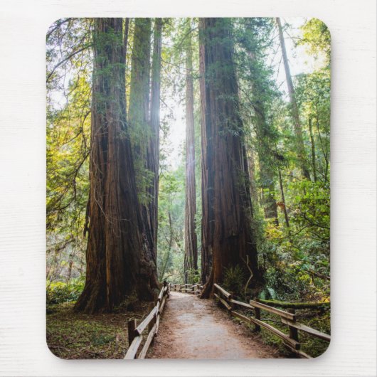 Tall Trees Muismat (Voorkant)
