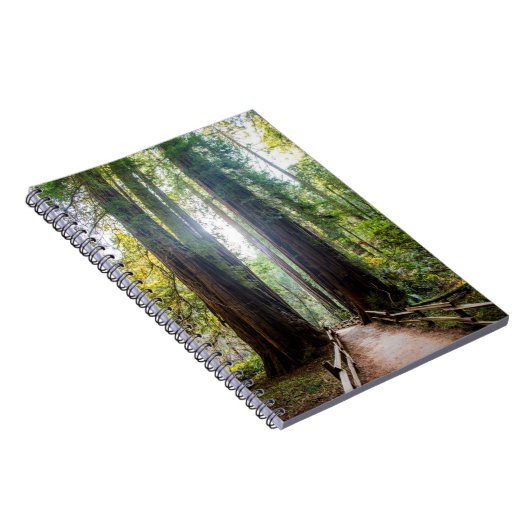 Tall Trees Notitieboek (Rechterzijde)