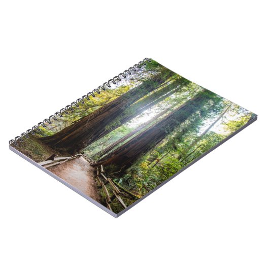 Tall Trees Notitieboek (Linkerzijde)