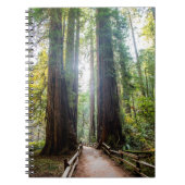 Tall Trees Notitieboek (Voorkant)