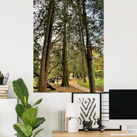 Tall Trees Poster (Thuiskantoor)