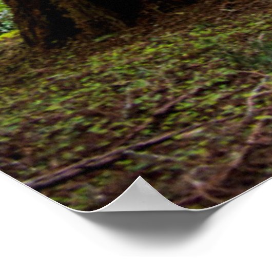 Tall Trees Poster (Hoek)