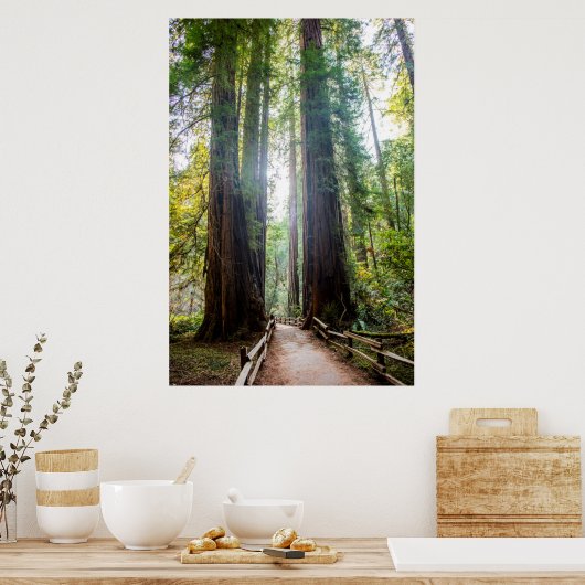 Tall Trees Poster (Keuken)