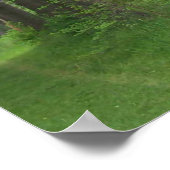 Tall Trees Poster (Hoek)