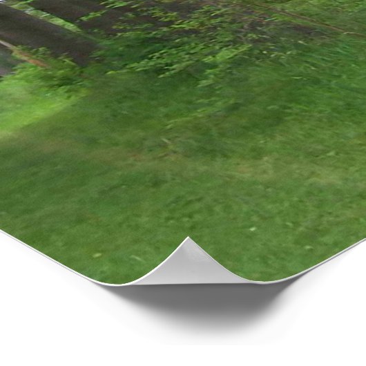 Tall Trees Poster (Hoek)