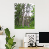 Tall Trees Poster (Thuiskantoor)