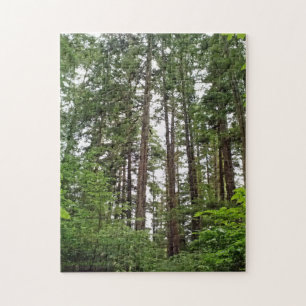 Tall Trees Puzzle Legpuzzel