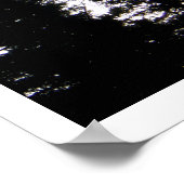 Tall Trein in Colorado Mountains Poster (Hoek)