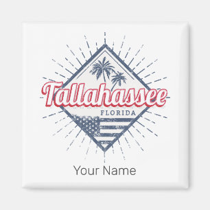 Tallahassee City Florida Verenigde Staten Verenig Magneet