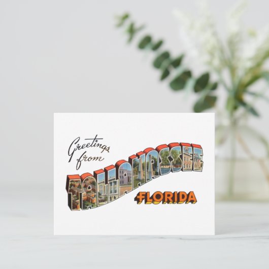 Tallahassee FL Briefkaart (Staand voorkant)