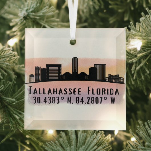 Tallahassee FL City Skyline Glass Ornament (Insitu)