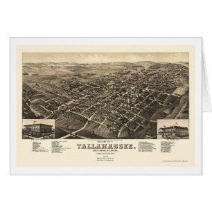 Tallahassee, FL Panoramic Map - 1885