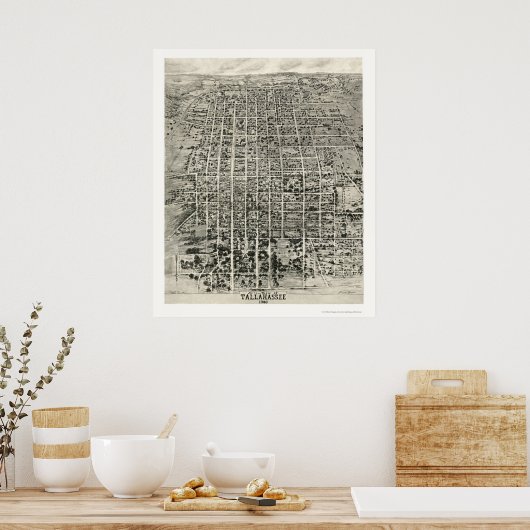Tallahassee, FL Panoramic Map - 1926 Poster (Keuken)