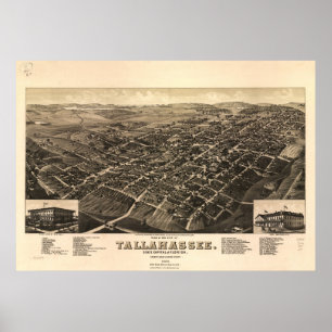 Tallahassee Florida 1885 Antiek Panoramische Kaart Poster