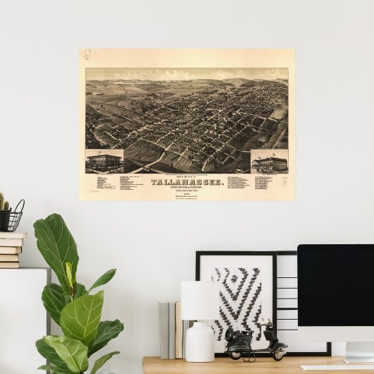Tallahassee Florida 1885 Panoramic Map Poster (Thuiskantoor)