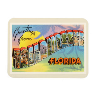 Tallahassee Florida FL Old Vintage Travel Souvenir Magneet