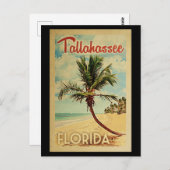 Tallahassee Palm Tree Vintage Travel Briefkaart (Voorkant / Achterkant)