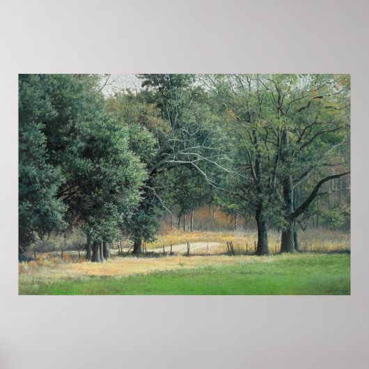 Tallahassee-velden 1 poster (Voorkant)