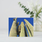Tallest Crested Saguaro Briefkaart (Staand voorkant)