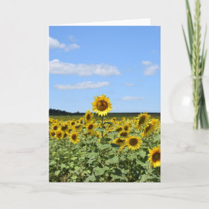 Tallest Sunflower - Inspirerend Wenskaart Kaart