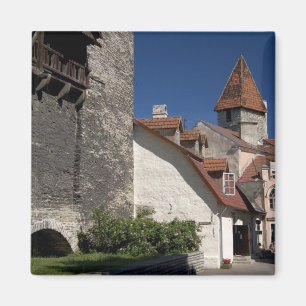 Tallin, Estland. Tallin is enigszins een Magneet