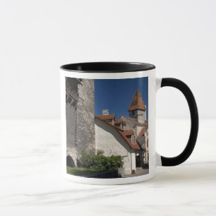 Tallin, Estland. Tallin is enigszins een Mok