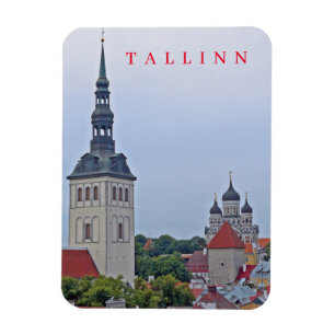 Tallinn-toren en kathedraal-koelkast-magneet magneet