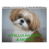 Tallulah Bean Calendar Cute Shih Tzu 2014 Kalender (Hoes)